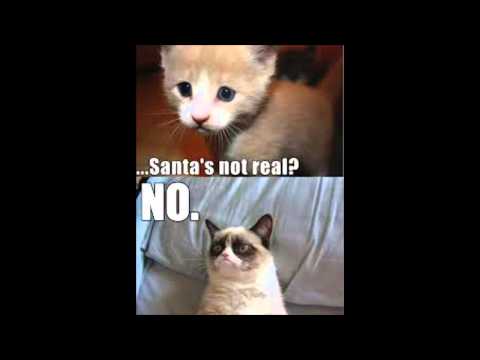 grumpy-cat-part-2!-best-meme-/-memes-cute-cats