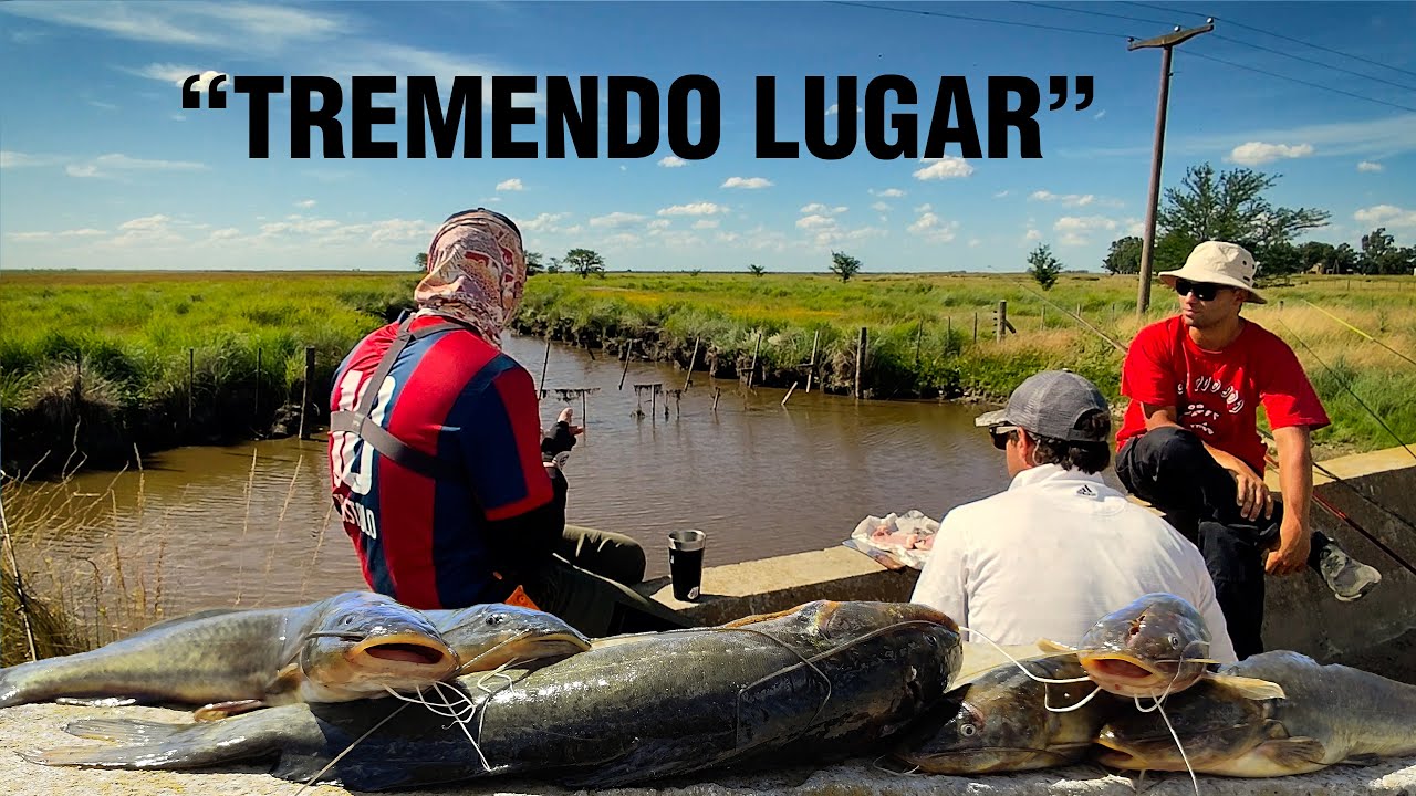 "PESCA EN CAMINOS RURALES", mucho bagre y tararira, cocinamos sobre puente de ruta 60 - UNDERCARP