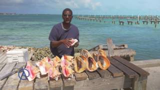 How to blow a conch  Atlantis Bahamas