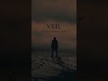 Veil | OUT NOW | Sci-Fi Gothic Horror Short Story by David Zona