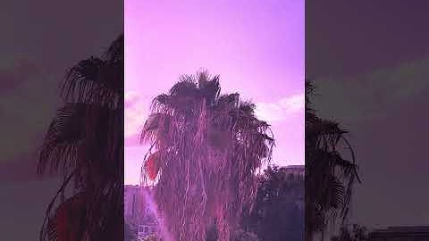 News. The richest Iron Age burial in the Southern Levant has been discovered in the Jezreel Valley