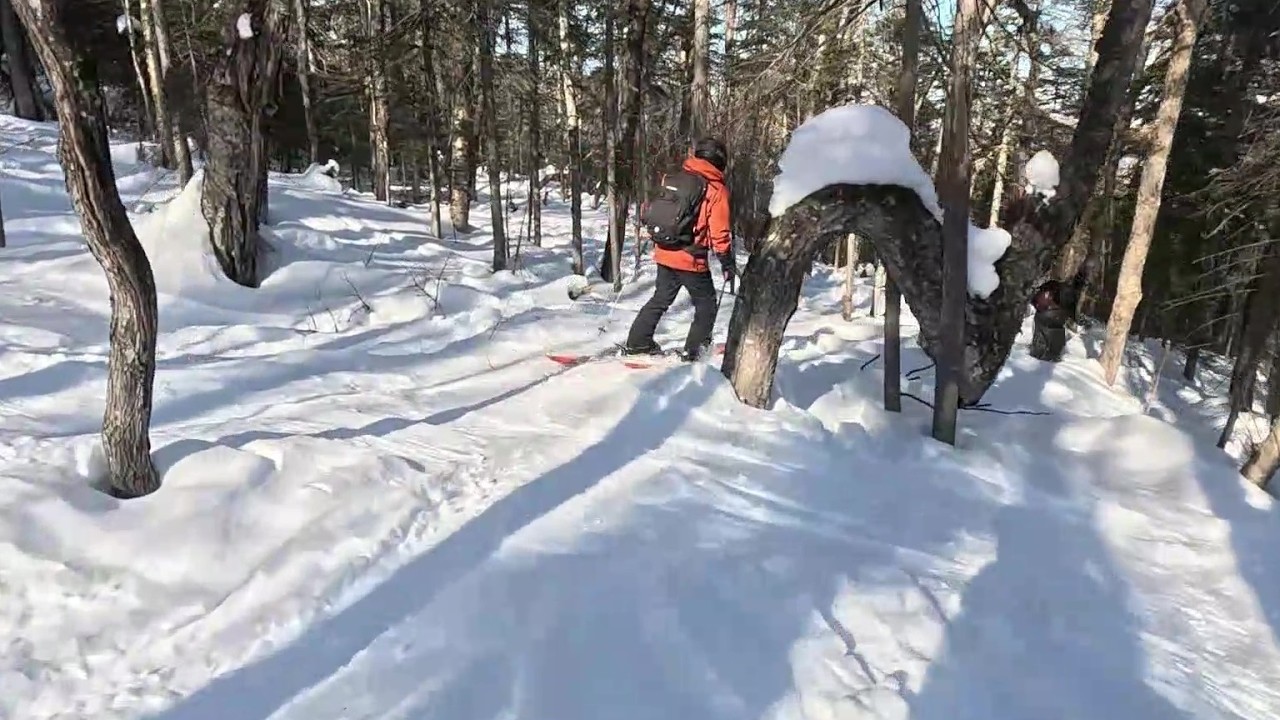 2026 02 24 Massif (partie 1)