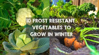 10 Frost Resistant Vegetables to Grow in Winter