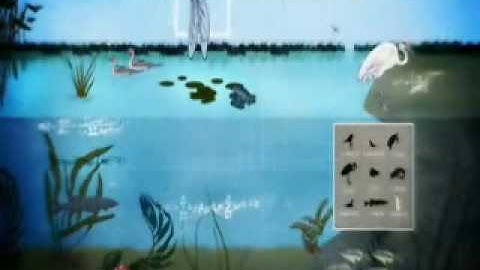 Evolutionary Algorithm