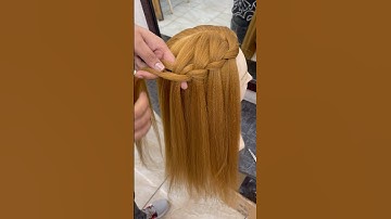 Waterfall braid/ Full video link in description ✅ #shorts #shortvideo #viwes #braids #braidtutorial