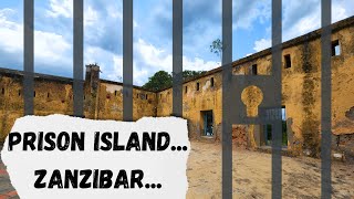 Travel Vlog: 🇹🇿 Prison Island Tour - Zanzibar