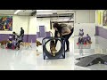 FYDOLAND Indoor Dog Park & Canine Enrichment Room