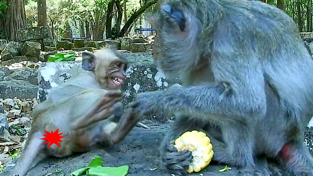 Good job.. Old JADE did right to make her spoiled kid losing option coll@psed on stone.