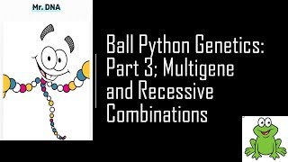 Ball Python Genetics Part 3