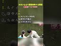 かまいたちで腹筋崩壊する瞬間ww #おもしろ #面白い #お笑い #芸人