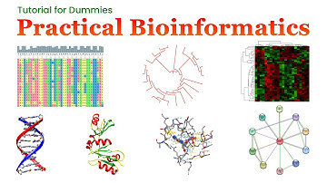 Welcome Video - Prof. Dr. T. Ashok Kumar #bioinformatics #ashokkumar #introduction #biogem #tutorial