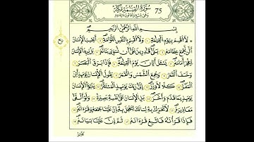 سورة القيامة-الشيخ علي الحذيفي-رواية قالون