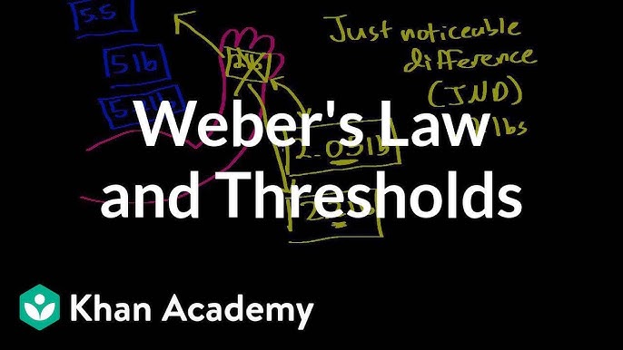 Sensation & Perception: Weber's Law - YouTube