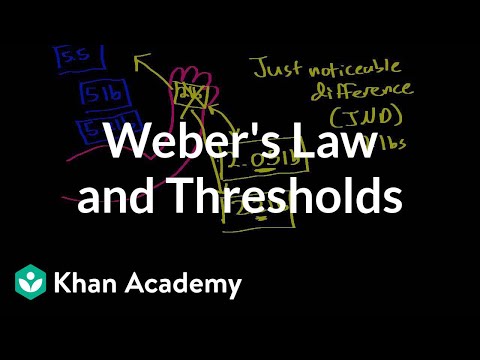 Weber&rsquo;s law and thresholds | Processing the Environment | MCAT | Khan Academy
