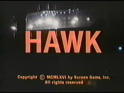 "hawk"-tv-intro
