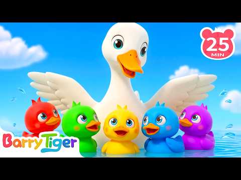 Watch Five Little Ducks Waddle Home! 🎵 ｜ Duck Songs ｜ Animal Songs & Nursery Rhymes ｜ BarryTiger
