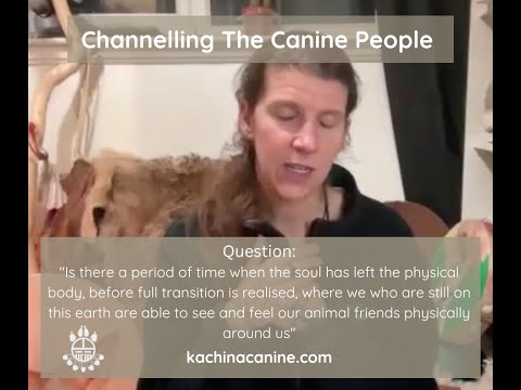 Live Channelling with The Canine People - Your question Answered