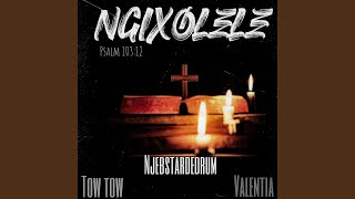 Download Lagu Ngixolele (feat. Tow Tow, Valentia \u0026 Art’feels) MP3