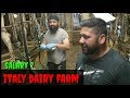 Italy dairy farm full explain ਇਟਲੀ ਦੇ ਕੰਮ #4