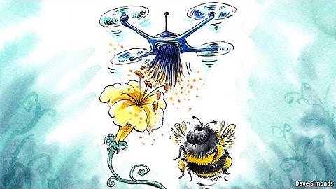 Could Drones Replace Bees?
