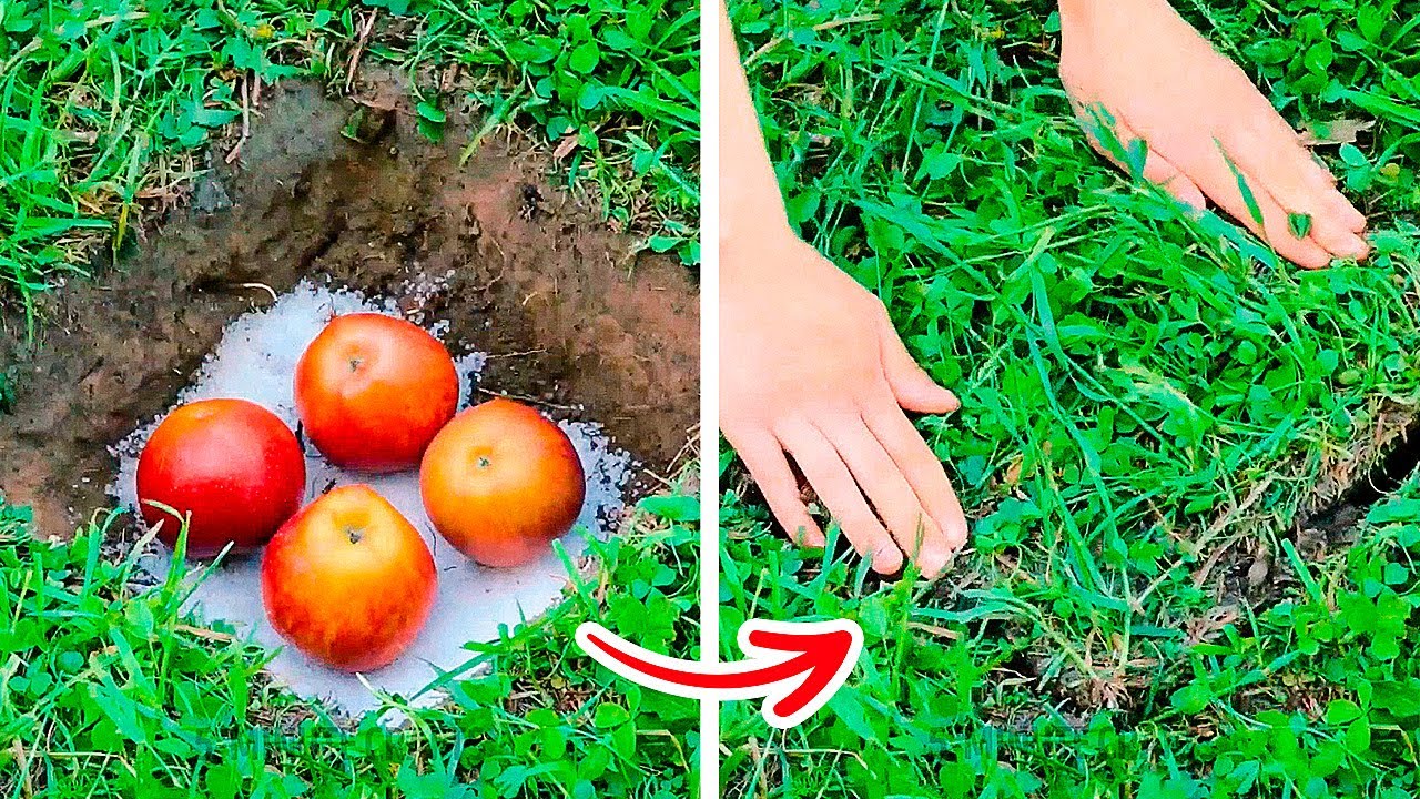 New Gardening Hacks That Will Blow Your Mind  Growing Hacks For Plant Lovers