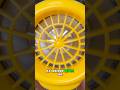 I Was Wrong About This DeWalt Duster #tools #dewalt #cordless