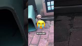 Kumdan Slime Yapmayı Denedim    Sonuç HÜSRAN! 😂😱