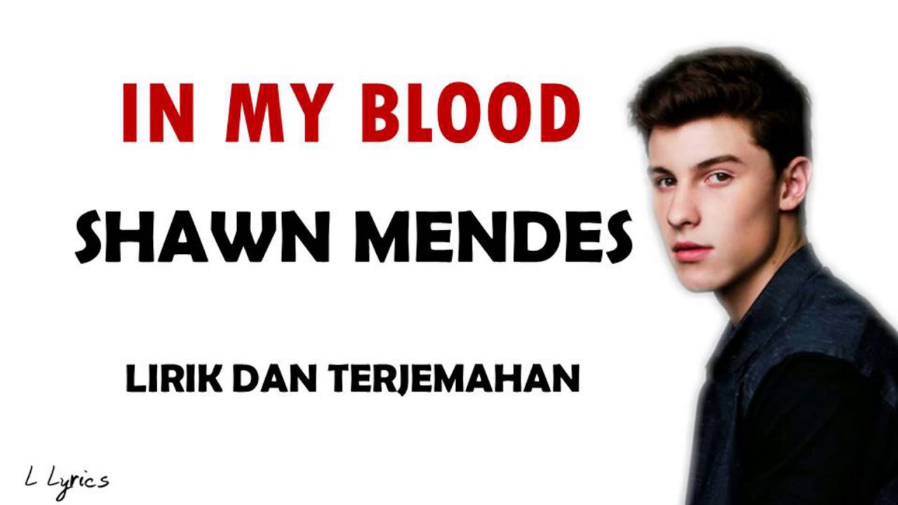 Shawn Mendes In My Blood Lyrics Lirik Dan Terjemahan