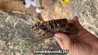 عسل کوهی توسط اسماعیل داودی