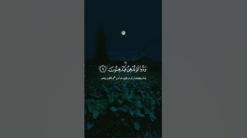سورة القلم 🍁 القارئ إسلام صبحي
