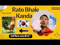 KOREA MA LOCAL BHALE KHOJNA HINEKO || LOTTO TA BHARNAI PARO NI.#nepaliinkorea