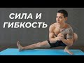 ТРЕНИРОВКА СИЛЫ И ГИБКОСТИ! Универсальный комплекс упражнений на все тело! | neofit 86