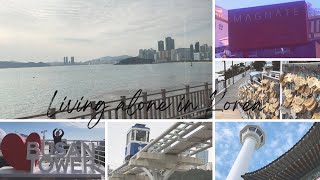 BUSAN solo trip - VLOG 3 | BTS Jimin's dad's cafe, Haeundae Beach, Busan Tower & Busan market