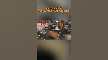 Industrial Robots in Action: Punch Press Loading and Unloading#industrialrobots #robotics #shorts