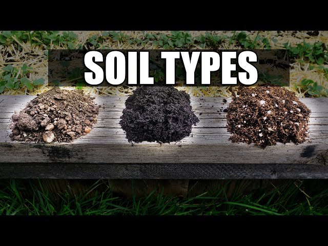 Fill Dirt vs. Topsoil: Differences and Which to Use