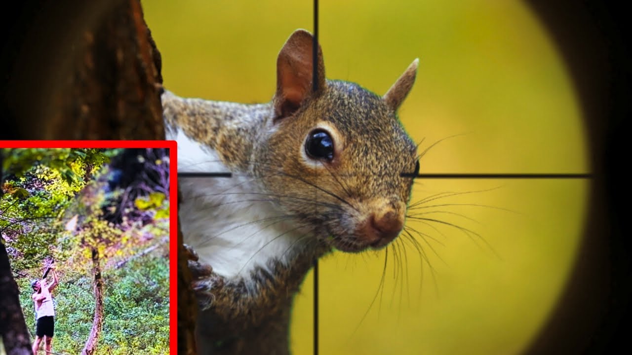 Off The Grid Epic WILD SQUIRREL HUNTING and Smallmouth Bass Fishing Expedition | SMF Films