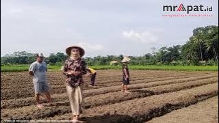 Potensi Desa Serut Il Oleh Vingki Indah Rahmawati