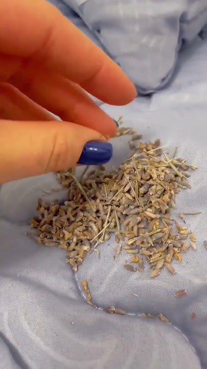 Наполнитель Лаванда-антистресс создан для вашего спокойного сна! - YouTube