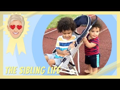 The Sibling Life