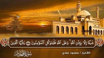 القارئ محمود حمدي - سورة المجادلة  - قرآن كريم - Quraan -  Surah-AlMujadilah