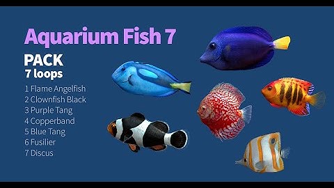 Aquarium Fish 7 (Asset for Unity)