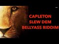 Capleton   Slew Dem                         Bellyass Riddim      CEV