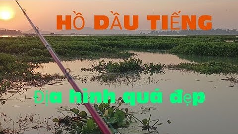 CÂU CÁ LÓC - HỒ DẦU TIẾNG
