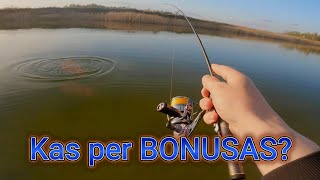 Žinojau,Kad Vakare Turi Prakibti Taip Ir Atsitiko Bonusų Vakaras.