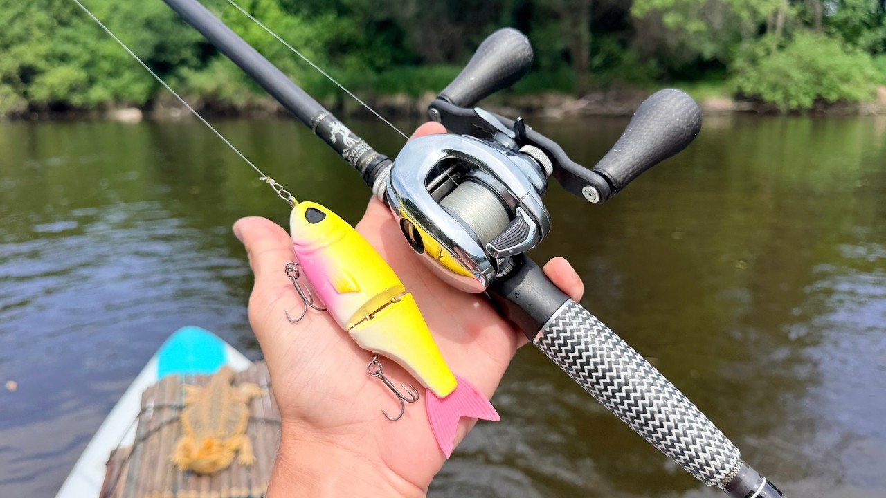 I Caught A Fish EVERY Cast At This Secret River!