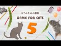 【猫用動画MIX５】ねずみ・ねこじゃらしなど26分 GAME FOR CATS 5