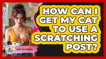 How Can I Get My Cat To Use A Scratching Post? - Happy Cat Handbook