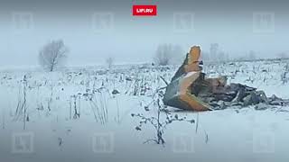 Первое видео разбившегося самолета в Подмосковье Первое видео разбившегося самолета в Подмосковье