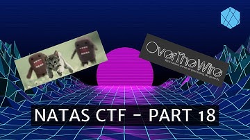 Over The Wire - Natas Level 29