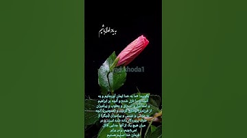 #سورة_البقرة #آیه صد و سی و شش #الله #قرآن #تلاوت #سورة #بقرة #آیات #البقرة #قرائت #البقرہ #کلام_خدا